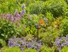 GARDENA Viereckregner Pipeline Produktbild-Vorschau 13