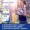 NMN Nicotinamide & Resveratrolo (120 capsule) integratore Anteprima dell’immagine prodotto 10
