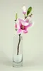 SANDRA RICH, Solifleur, schlanke Glas Vase 6 x 18cm Produktbild-Vorschau 5