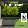 PFLANZWERK® Pflanzenroller 80x28cm Pflanzkübel Blumentopf Produktbild-Vorschau 2