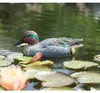 Natur Ubbink Teichdekoration - Krickente - schwimmend Produktbild-Vorschau 3