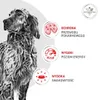 Royal Canin Veterinary VHN Hunde-Gastrointestinal 24x200g Produktbild-Vorschau 5