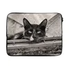 MuchoWow® Laptop Hülle 15 Zoll Nahaufnahme einer Katze Produktbild-Vorschau 1