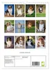 Australian Shepherds (Wandkalender 2027 DIN A4 hoch), Produktbild-Vorschau 2