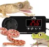 Terrario Myriaton Régulateur de température - thermostat Voir les images du produit 8