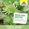 Neudorff NeudoHum Kakteen- & SukkulentenErde 3 Liter Produktbild-Vorschau 6