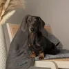 Hundedecke Scruffs Cosy Blanket 110x72,5 cm grau Produktbild-Vorschau 11
