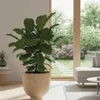 Vyveo – doniczka Orb – beżowa – 35 x 32 Podgląd zdjęcia produktu 7