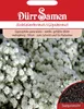 Dürr-Samen - Schleierkraut gefüllt weiße Blüten mehrjährig Produktbild-Vorschau 2