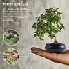 Vaso da bonsai in Vetroceramica blu navy - Vaso da bonsai Anteprima dell’immagine prodotto 5