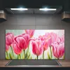 Coloray Spritzschutz aus Glas 100x50  Wandkunst Produktbild-Vorschau 2