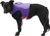 Ruffwear Float Coat Schwimmweste, Farbe:Purple Lily, Produktbild-Vorschau 3