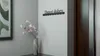 Wandgarderobe mit 9 Garderobenhaken Schwarz Produktbild-Vorschau 5