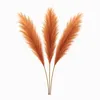 Layba Künstliches Pampasgras Deko in Terracotta Boho - 3 Produktbild-Vorschau 1