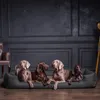 tierlando® Orthopädisches Hundebett GOOFY >> inkl. Produktbild-Vorschau 2