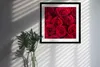 Bild - 50 cm x 50 cm - MDF - Rahmen, Wandkunst - Rosen Produktbild-Vorschau 3