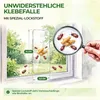 Fenster Brotkäferfalle mit Spezial-Lockstoff – 27x Fallen – Produktbild-Vorschau 5
