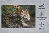 MuchoWow® Schreibtischunterlage Schleichender Jaguar im Produktbild-Vorschau 2