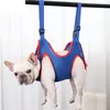 INF Pet Care Hängematte - für Katzen & Hunde L Produktbild-Vorschau 3