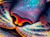 Puzzle 1000 elementów Enjoy – Tiger Resilience Podgląd zdjęcia produktu 5