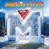 Megahits 2026 - Die Erste Produktbild-Vorschau 2