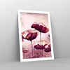 Poster - Poster ohne Rahmen - Mohn Blume Wiese - 50x70 cm - Produktbild-Vorschau 7