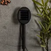 A close-up shot of a solar-powered garden light with a gecko design, set against a textured gray background with some green foliage on the right. Produktbild-Vorschau