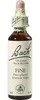 Bach-Blüte Pine, 20 ml Lösung Produktbild-Vorschau 2