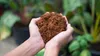 Włókno kokosowe Coco Peat 0-10mm 5l - Biovita Podgląd zdjęcia produktu 12