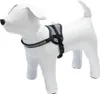 Karlie Teeny Weeny Geschirr für Welpen und kleine Hunde, Produktbild-Vorschau 3