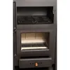 A close-up view of the interior of a wood-burning stove, showing the firebox and a storage compartment above. Anteprima dell’immagine prodotto