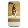 MuchoWow® Handyhülle Schutzhülle Hülle für iPhone 7 Katze - Produktbild-Vorschau 1