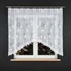 A white lace curtain with a floral pattern hangs in front of a window, obscuring a city view at night. Náhled obrázku produktu