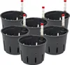 Kulturtopf 11/09 mit WA II/9er 6er-Pack Produktbild-Vorschau 4