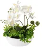 Unyqoos® Umelá orchidea (Phalaenopsis) – realistická biela Náhľad obrázku produktu 1