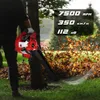 A person is using a red and black leaf blower to clear fallen leaves from a grassy area next to a tree. The leaves are being blown into the air. Produktbild-Vorschau