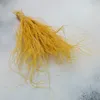 Federgras Getrocknete - (Stipa pennata) - Ingwer Produktbild-Vorschau 3