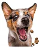Josera JosiDog Agilo Sport, Adult, 15 kg, Gluten-frei Produktbild-Vorschau 15