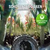GARDEBRUK® Bewässerungsschlauch 15 m 1/2 Zoll T-Verbinder Produktbild-Vorschau 5