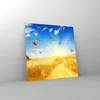 Bilder auf glas - Schmetterlinge Wiese Gras - 70x70cm - Produktbild-Vorschau 4