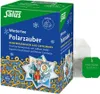 Salus Polarzauber Früchte-Gewürztee  15 Filterbeutel Produktbild-Vorschau 1