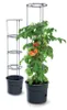 Two tomato plant support cages are shown, one with a tomato plant growing in a pot, and another empty cage in a pot. Produktbild-Vorschau