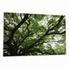 Wallario Herdabdeckplatte aus Glas, Größe 80 x 52 cm Produktbild-Vorschau 1