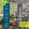 Hoberg Schiefer-Pflanzschilder 10er Set - Gartenschilder Produktbild-Vorschau 2