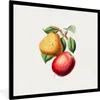 MuchoWow® Gerahmtes Poster Früchte - Frühling - Blätter Produktbild-Vorschau 1