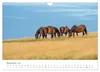 Exmoor Ponnys - Die letzten Ihrer Art (Wandkalender 2027 Produktbild-Vorschau 14
