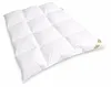 Betten Hofmann Winter Daunenbett Daunendecke Bettdecke 3x4 Produktbild-Vorschau 2