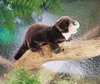 Folkmanis Handpuppe Otter 45 cm Produktbild-Vorschau 1