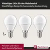 Paulmann 284.27, 4 W, 25 W, E14, 260 lm, 15000 h, Warmweiß Produktbild-Vorschau 3