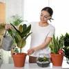 Relaxdays Coni di terracotta per l'irrigazione, set da 4, Anteprima dell’immagine prodotto 3